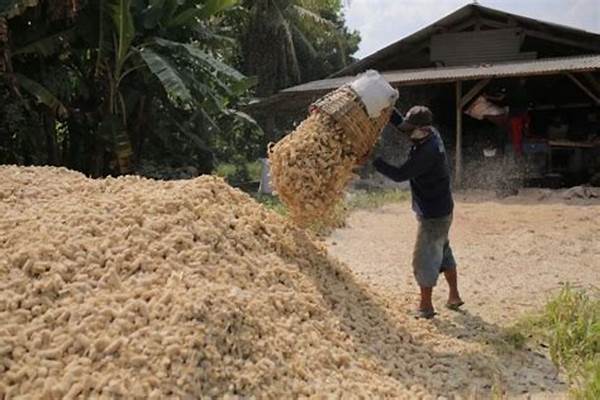 Optimalisasi Penggunaan Biomassa Lokal