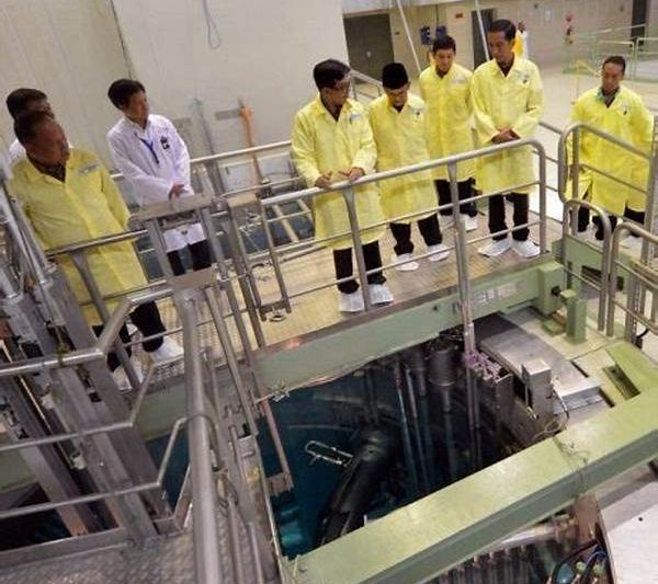 Pengembangan Reaktor Nuklir Nasional
