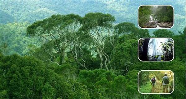 Konservasi Hutan Dan Keanekaragaman Hayati