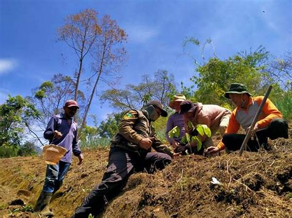 Rehabilitasi Lahan Hutan Terdegradasi