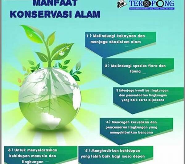 Strategi Konservasi Sumber Daya Bumi