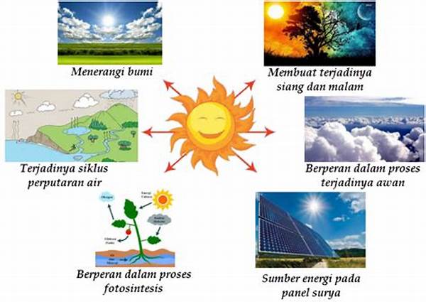 Pemanfaatan Cahaya Matahari Maksimal