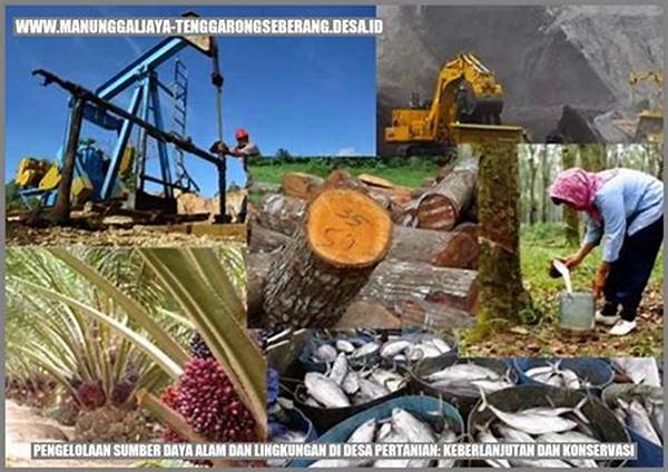 Kebijakan Pengelolaan Sumber Daya Efektif