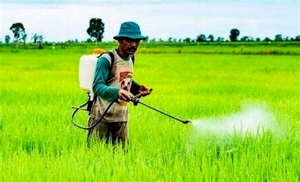 Penggunaan Pestisida Alami Terkontrol