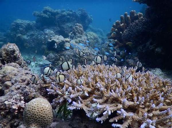 Perlindungan Ekosistem Terumbu Karang