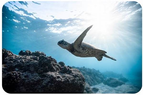 Konservasi Biodiversitas Laut